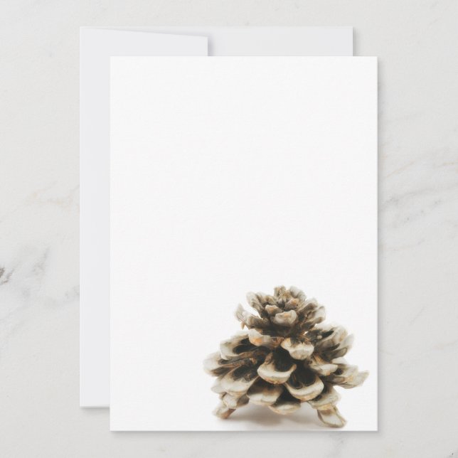 Pinecone (Front)