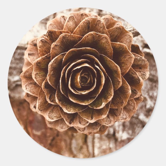 Pinecone Autumn Stickers (Front)