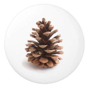 Pinecone Ceramic Knob