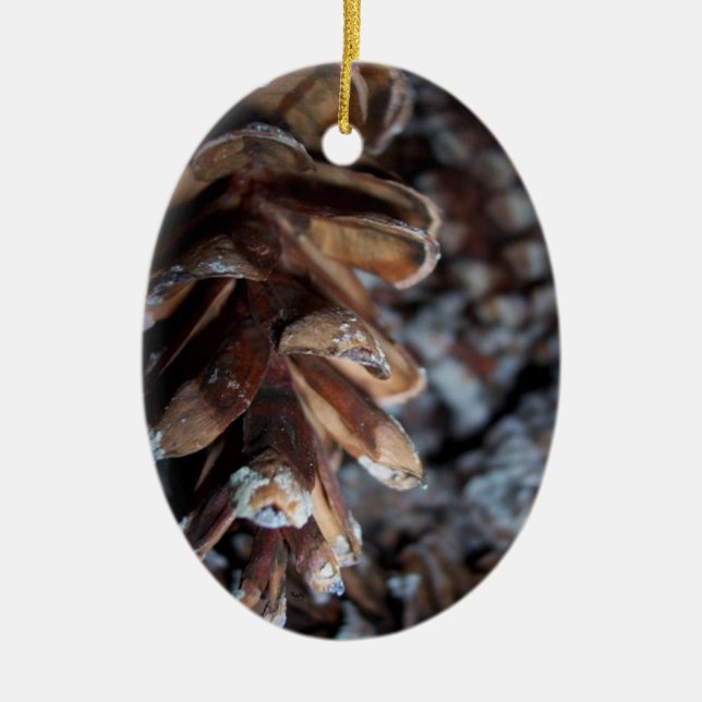 Pinecone Ceramic Tree Decoration (Front)