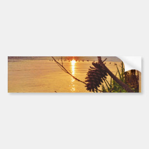 Pinecone Lake sunset Bumper Sticker