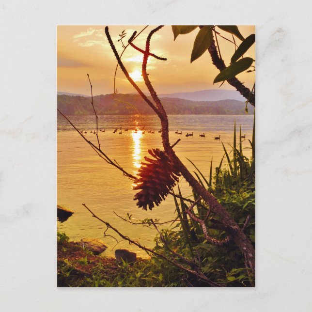 Pinecone Lake sunset Postcard (Front)