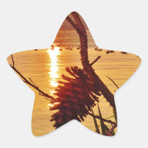 Pinecone Lake sunset Star Sticker