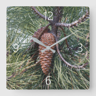 Pinecone on the pine tree square wall clock