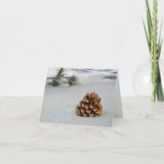Pinecone on the Snow Notecard