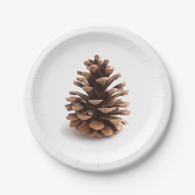 Pinecone Paper Plate (Front)