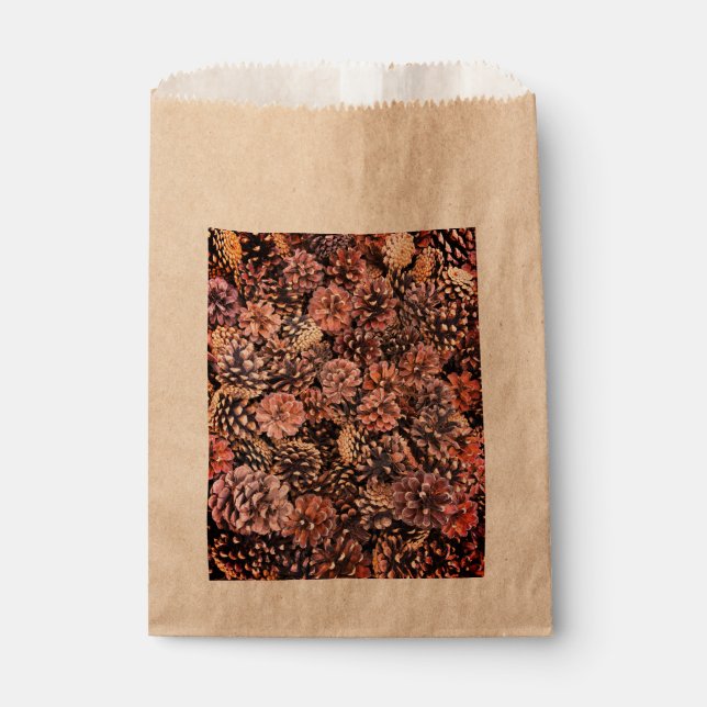 Pinecone rustic fall colourful natural winter brow favour bags (Front)