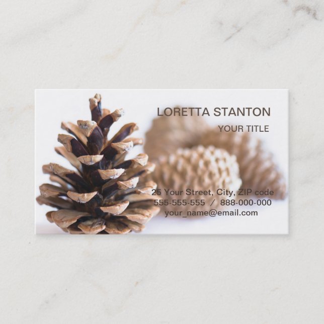 Pinecones Business Card (Front)