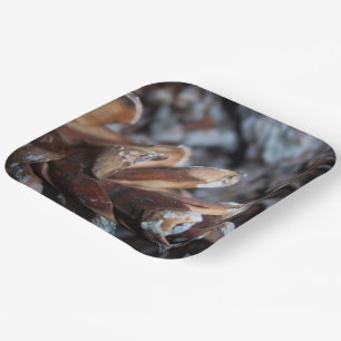 Pinecones Fall Autumn Nature Serving  Paper Plate