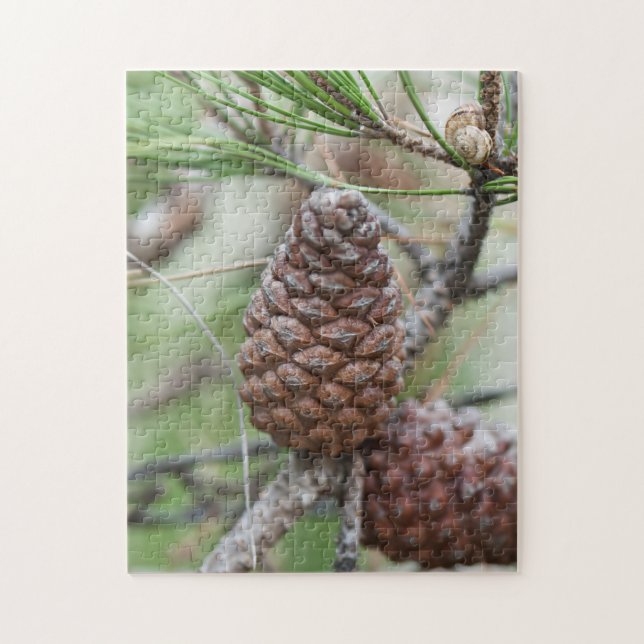 Pinecones Jigsaw Puzzle (Vertical)