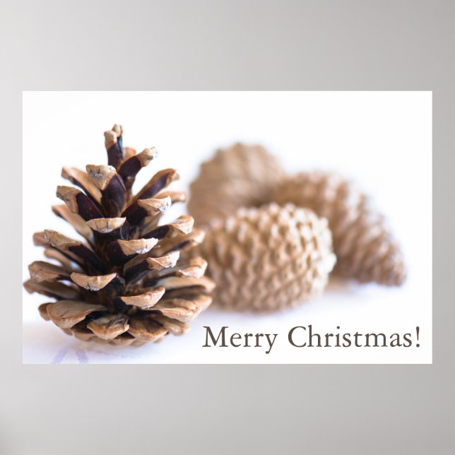 Pinecones Poster (Front)