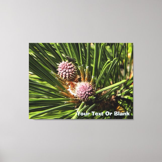 Pineflower Canvas Print (Front)