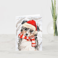 Pines and Australian Shepherd Christmas Dog
