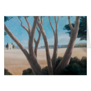 Pines near Pienza 2012