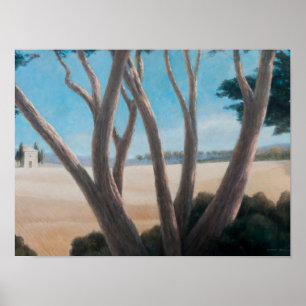 Pines near Pienza 2012 Poster