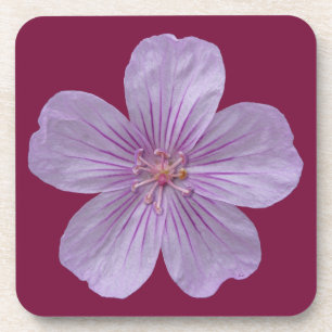 Pineywoods Geranium #1 Coaster
