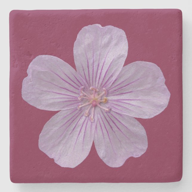 Pineywoods Geranium #1 Stone Coaster (Front)