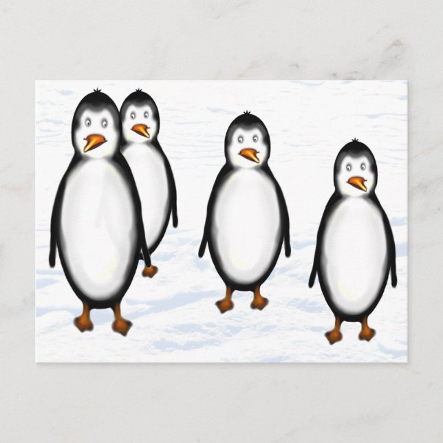 Pinguine Postcard (Front)