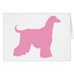 Pink Afghan Hound Dog