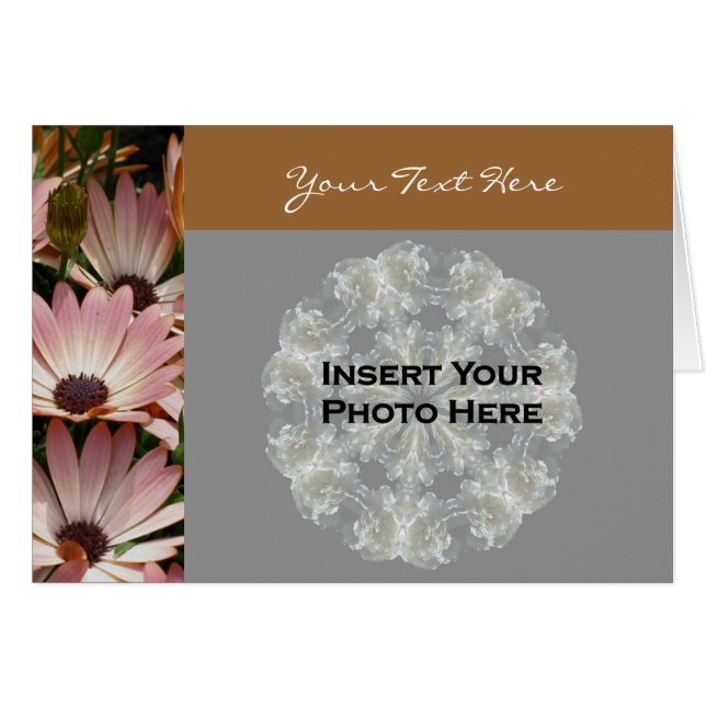 Pink African Daisies Floral Photo Card (Front Horizontal)