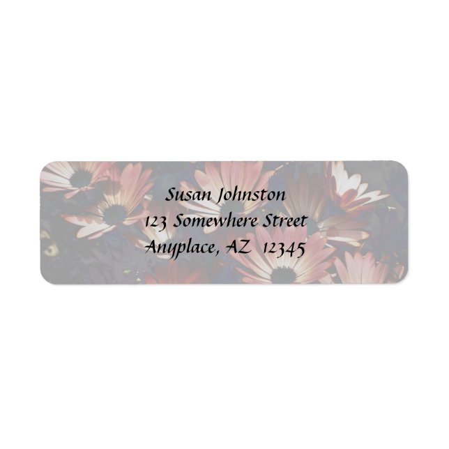 Pink African Daisies Flower Address Label (Front)