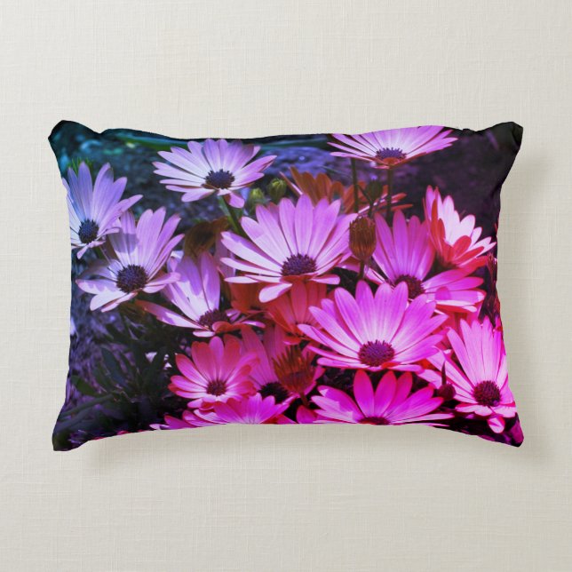 Pink African Daisy Flowers Abstract  Decorative Cushion (Front)