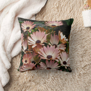Pink African Daisy Flowers  Cushion