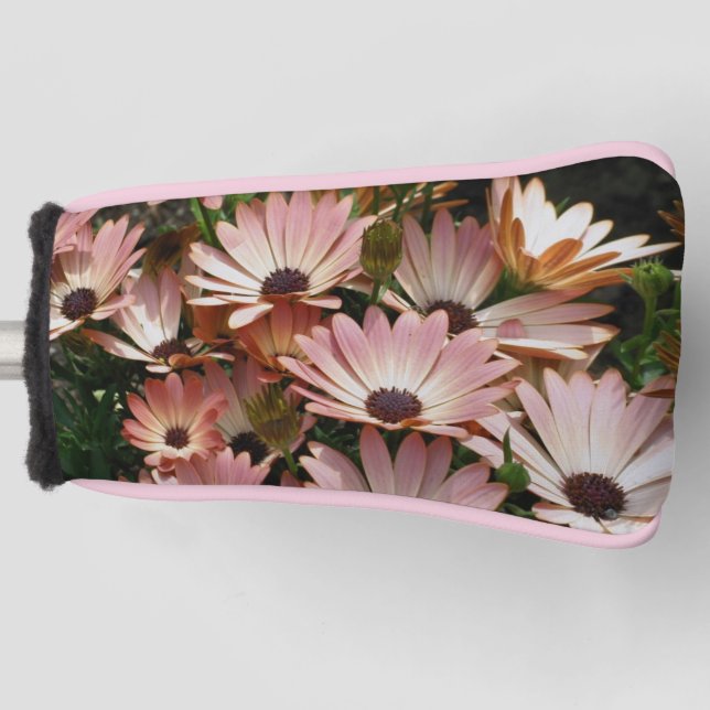 Pink African Daisy Flowers Golf Head Cover (Front)