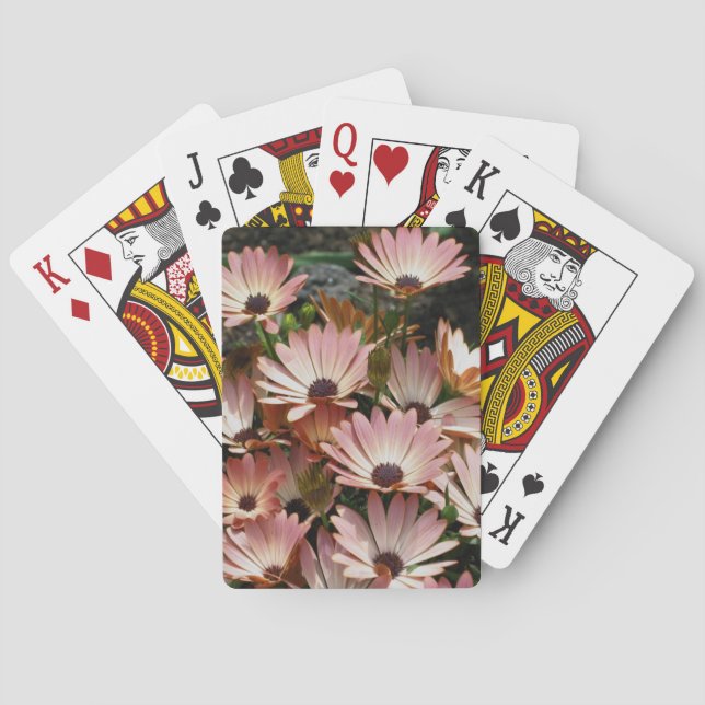 Pink African Daisy Flowers  Playing Cards (Back)