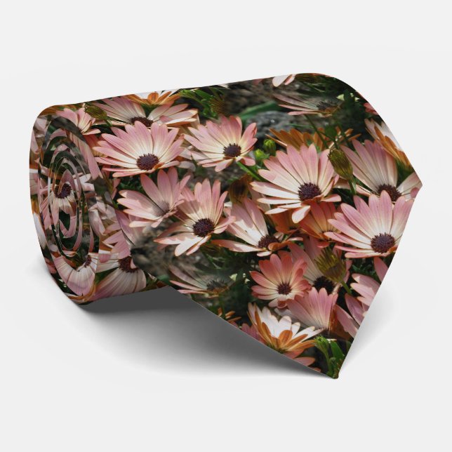 Pink African Daisy Flowers  Tie (Rolled)