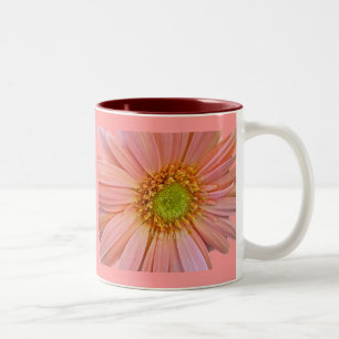 Pink African Daisy Mug