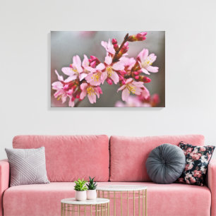 Pink Against A Grey Sky Japanese Cherry Blossoms Canvas Print