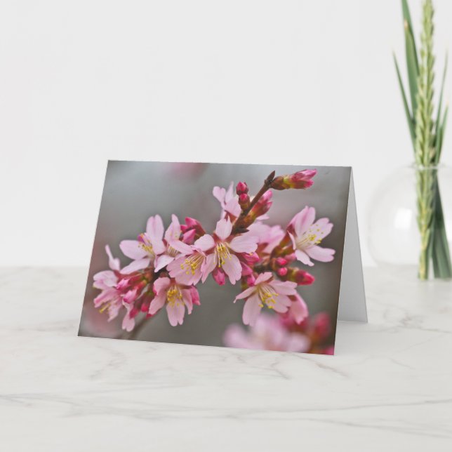 Pink Against A Grey Sky Japanese Cherry Blossoms Card (Front)