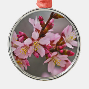 Pink Against A Grey Sky Japanese Cherry Blossoms Metal Tree Decoration