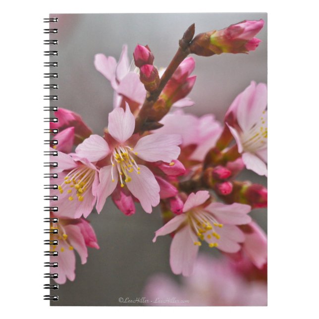 Pink Against A Grey Sky Japanese Cherry Blossoms Notebook (Front)