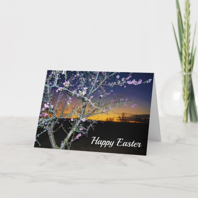 Pink Almond Blossom at Sunset, Happy Easter Card (Front)