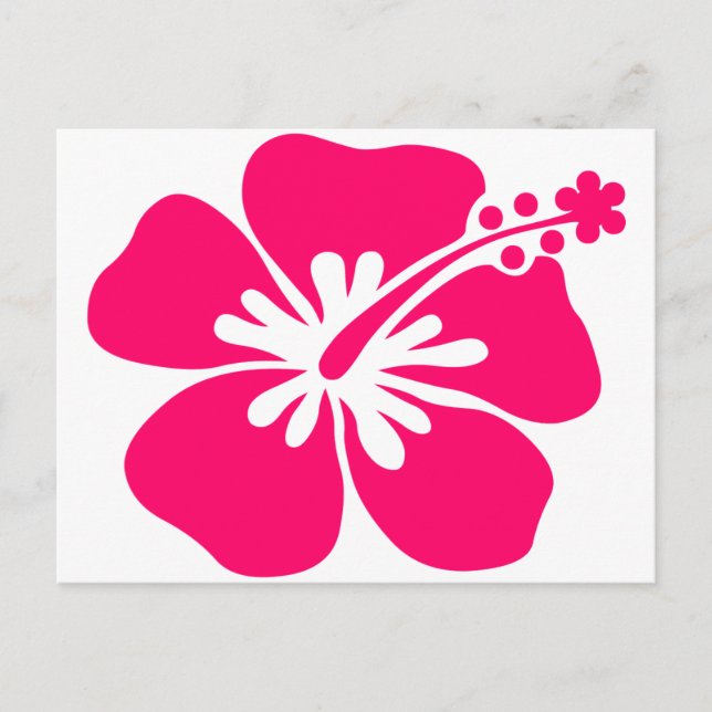 pink aloha flower postcard (Front)