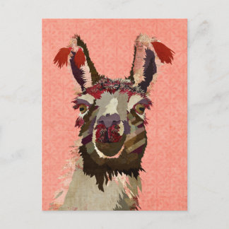 PINK ALPACA Postcard