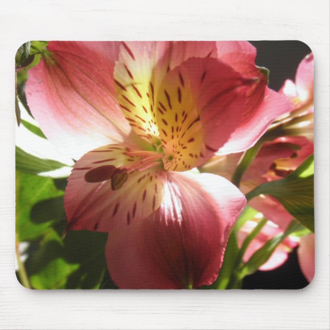 Pink Alstroemeria Flower Lilies Flowers Photo Mouse Pad (Front)