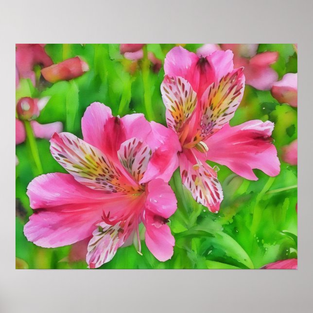 Pink Alstroemeria Lily Flowers Watercolor Style  Poster (Front)
