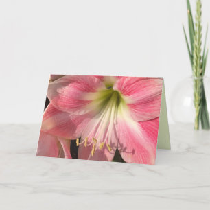 Pink Amaryllis Card