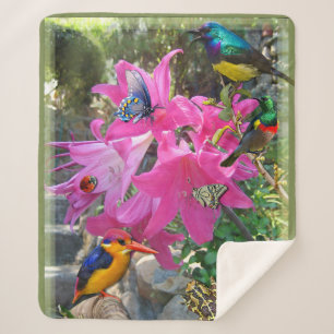Pink- Amaryllis & Kingfisher Poster Sherpa Blanket