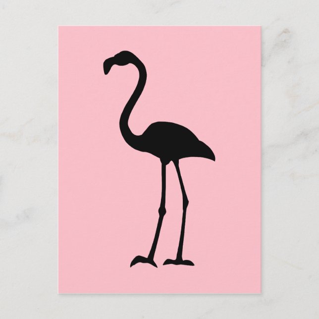 Pink and Black Flamingo Postcard (Front)