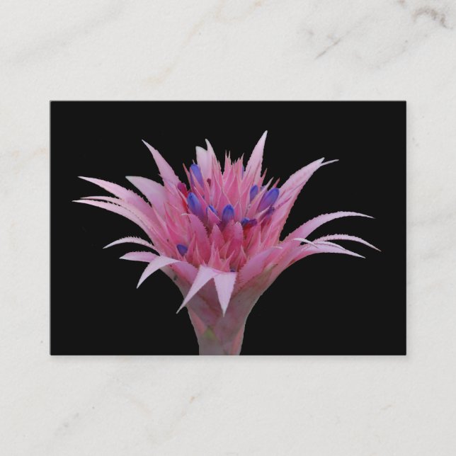 Pink and Blue Aechmea ACEO Business Card (Front)
