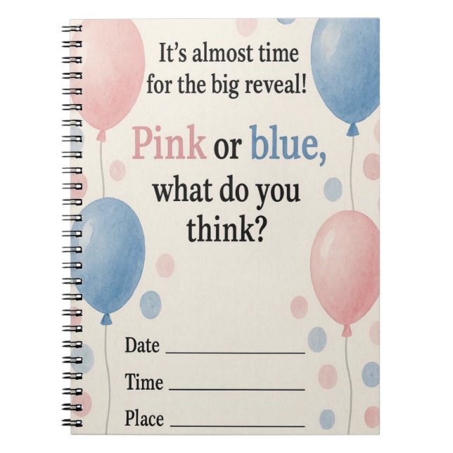 "Pink and Blue Balloons Notebook  (Front)