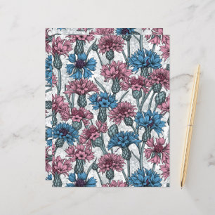 Pink and blue cornflowers, wild flowers on white
