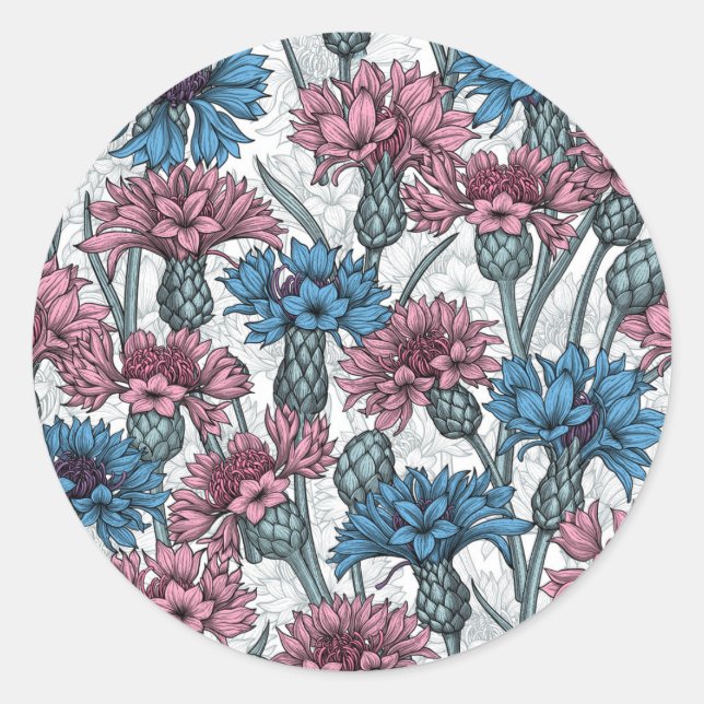 Pink and blue cornflowers, wild flowers on white classic round sticker (Front)