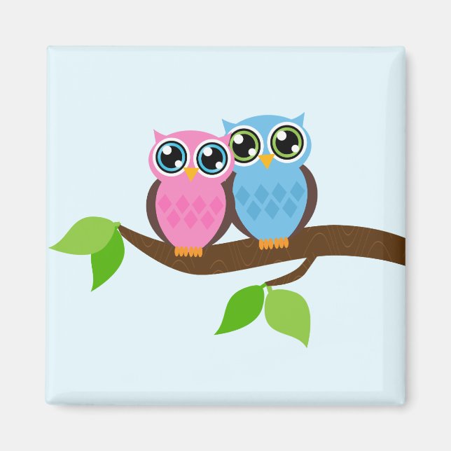 Pink and Blue Owl Couple Magnet (Front)