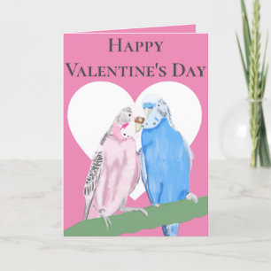 Pink and Blue Pair of Budgies Valentine's Day Holiday Card