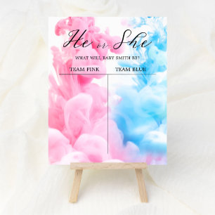 Pink and Blue Smoke Baby Gender Reveal Welcome Poster